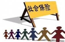 企业社保费是减还是免？上海市阶段性减免企业社保费划型结果网上可查询