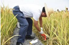 国家粮食和物资储备局发布《关于做好2020年中秋国庆“两节”期间粮油市场保供稳价等有关工作的通知》