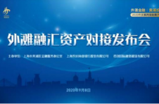 构筑“双循环”金融新生态！“外滩金融·黄浦投促”系列活动举行