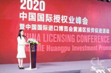 2020中国国际授权业峰会暨中国国际进口博览会黄浦区投资促进活动举行