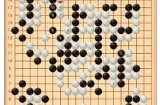 线上博弈云较量 “塘桥杯”2020年上海市线上围棋比赛圆满落幕