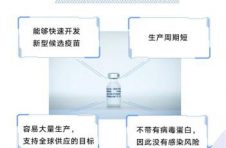 新冠肺炎疫苗、无人接种舱……上海这一万多平方米将成为全球焦点