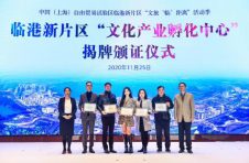 杨超越：我要让更多人了解临港，这块土地正孕育着伟大的变化
