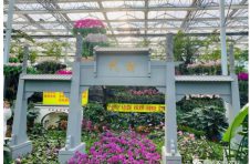 “长三角媒体沂蒙行”大型新闻采风活动成功举办