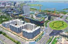 完成重点产业项目招商服务151个 临港新片区“招商天团”厉害了！