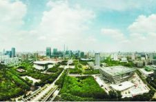 瞄准“国际数字之都” 上海城市数字化转型三箭齐发