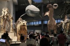 上海科技馆、自然博物馆举办“博物馆之夜”，快去看看吧