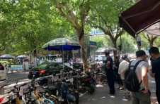 文明出行你我同在