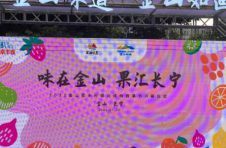 “金山味道” 里的乡村振兴缤纷百果节