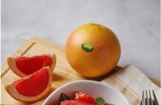 高品质的柑橘类水果代名词：Jaffa