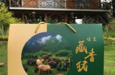 来自海拔3000米高原生态藏香猪